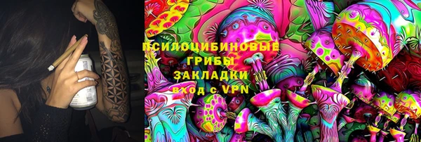 хмурый Алексин