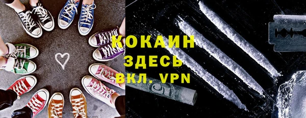 хмурый Алексин