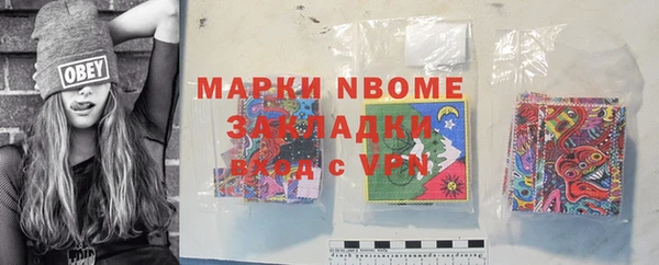 хмурый Алексин