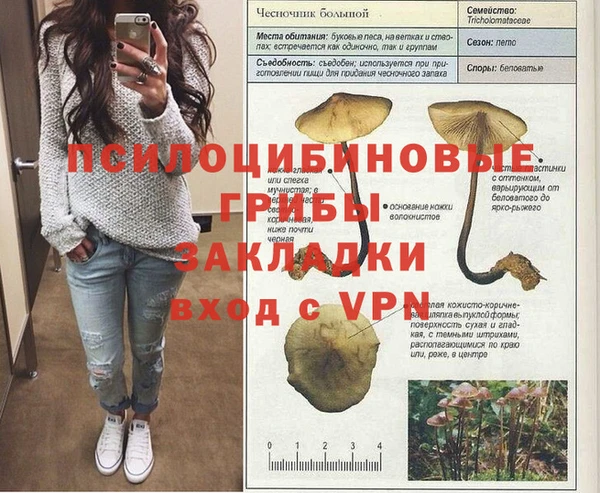 амф Абинск